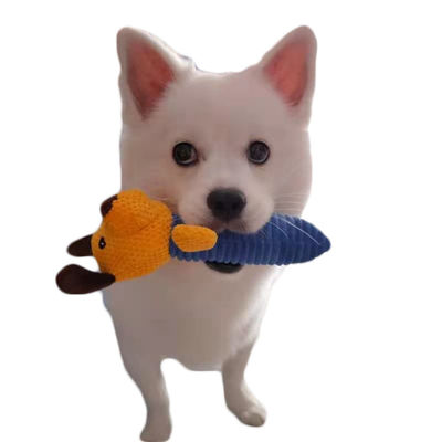 Le bruit de chien choie des jouets de peluche mordent le jouet mou de faire ses dents molaire résistant
