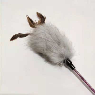 Peluche de taquinerie Cat Toy Fox Feather Plush Teasing Cat Stick With Handle d'animal familier