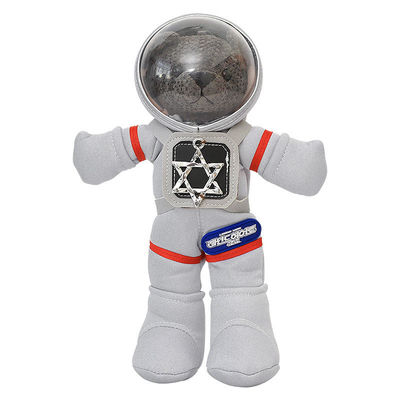 Le coton d'ISO9001 pp a rempli enfants Teddy Bear Stuffed Toys de 30cm