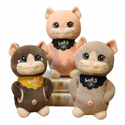 L'OEM pèlent Cat Plush Toy mignonne des enfants amicaux de 20cm