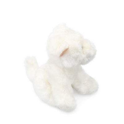 Le chien blanc d'EN71 20cm a bourré Toy For Baby Soothing