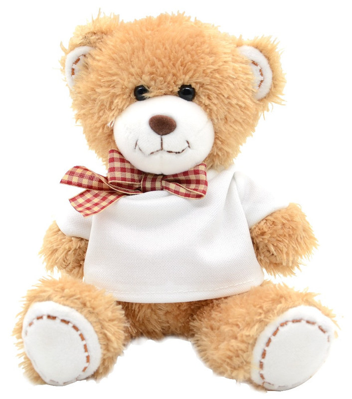 Enfants rapides de Teddy Bear Plush Toys For d'arc de Hoodie du rebond 20cm